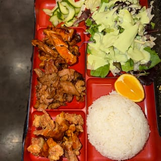 Deluxe Plate Bento Box